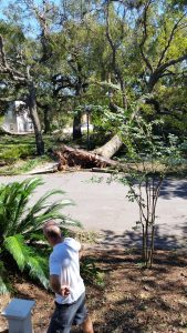Surviving Hurricane Matthew 2016 | Savannah Dream Vacations